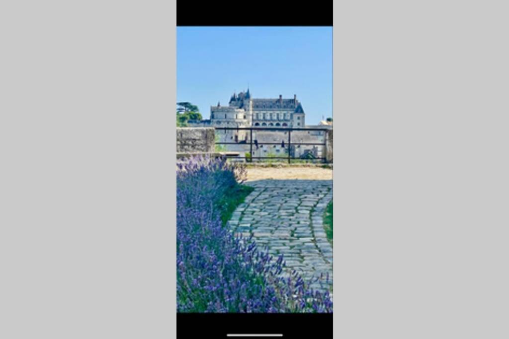 Le 17 Entre Gare Et Chateau Amboise Eksteriør billede