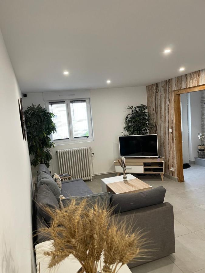 Le 17 Entre Gare Et Chateau Amboise Eksteriør billede